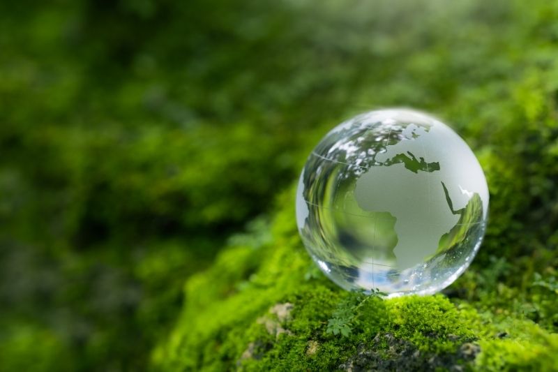 Szklana kula ziemska spoczywająca na miękkim, zielonym mchu w lesie, symbolizująca ochronę planety i ekologię.