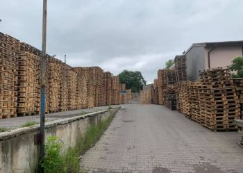 Skup i sprzedaż palet drewnianych w Łodzi