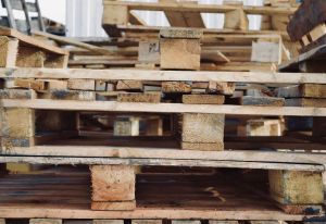Jak domowymi sposobami usunąć pleśń z drewna – radzi specjalista z HGV Palety Drewniane