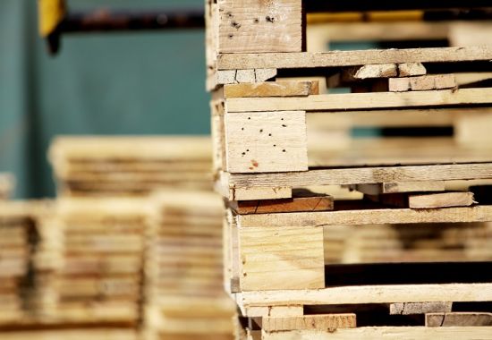 Domowe sposoby na usunięcie pleśni z drewna - porady specjalisty z HGV Palety Drewniane Wadowice