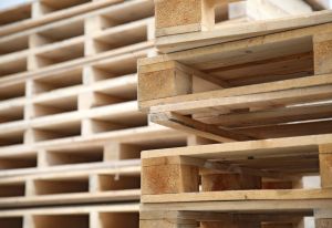 Ceny palet drewnianych w skupie w 2024 roku. Ile obecnie kosztuje paleta EURO?